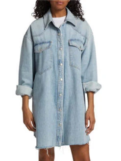 AGOLDEAGolde Jessa Shirt Dress - Flush