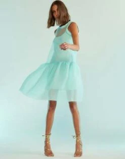 CYNTHIA ROWLEYChloe Organza Dress - Mint 18 CYNTHIA ROWLEYChloe Organza Dress - Mint -CYNTHIA Clothing Shop Chloe Organza Dress 20230810184918 1