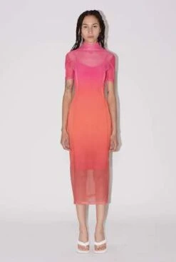 SAEMDISaemdi Gradient Mesh Dress