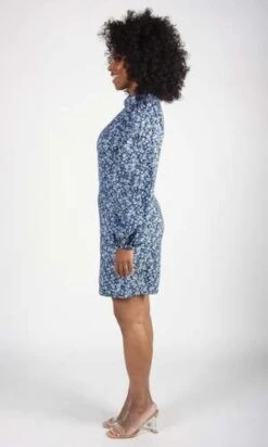 Birds Of North AmericaNyctale Dress - Forget-Me-Not -CYNTHIA Clothing Shop Nyctale Dress Forget Me Not 20230713004235 3
