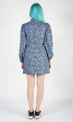 Birds Of North AmericaNyctale Dress - Forget-Me-Not -CYNTHIA Clothing Shop Nyctale Dress Forget Me Not 20230713004237 3