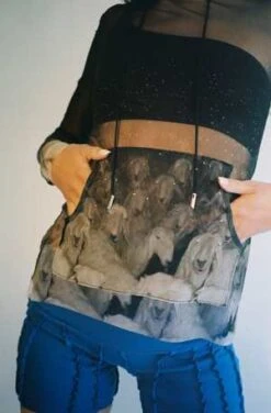 Helena ManzanoYoga 3D Stripe Shorts -CYNTHIA Clothing Shop Yoga 3D Stripe Shorts 20220519044105 1